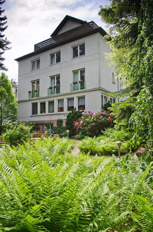 Bed and Breakfast Haus Helvetia à Bad Orb Extérieur photo