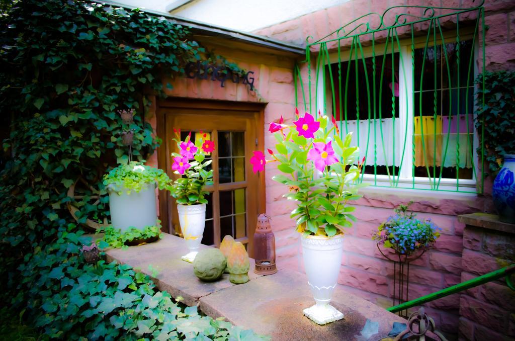Bed and Breakfast Haus Helvetia à Bad Orb Extérieur photo